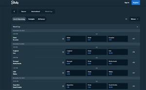 Stake.com World Cup Betting