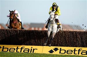 2022 Betfair Chase Tips - Bet without the favourite at Haydock
