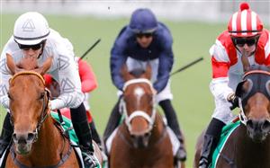 Fred Best Classic Betting Odds