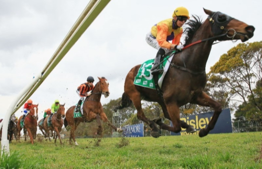 Bathurst Racing Tips, Best Bets & Odds Today's Betting Tips for