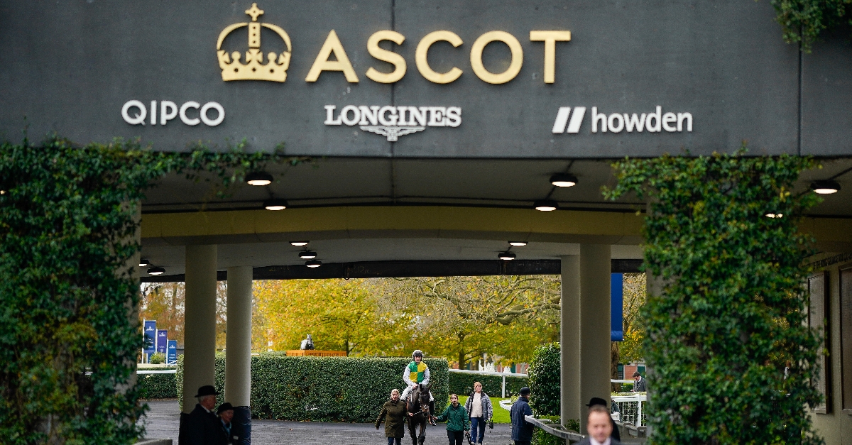 Racing News Constitution Hill withdrawn on Ascot returns
