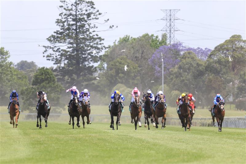 KEMBLA GRANGE, AUSTRALIA - NOVEMBER 19: Josh Parr (blue and yellow checkered cap) on Shameonus wins race 3 the Elite Sand & Soil Bm78 Handicap during Sydney Racing at Kembla Grange Racecourse on November 19, 2022 in Kembla Grange, Australia. (Photo by Mark Evans/Getty Images)
