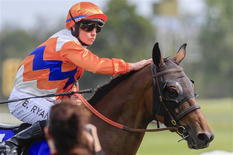 KEMBLA GRANGE, AUSTRALIA - NOVEMBER 19: Brock Ryan on Cuban Royale returns to scale after winning race 6 the Traffic Logistics CG&E Benchmark 78 Handicap during Sydney Racing at Kembla Grange Racecourse on November 19, 2022 in Kembla Grange, Australia. (Photo by Mark Evans/Getty Images)