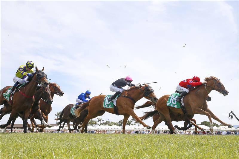 KEMBLA GRANGE, AUSTRALIA - NOVEMBER 19: Tyler Schiller on Starboreta wins race 5 the PFD Food Services F&M Benchmark 78 Handicap during Sydney Racing at Kembla Grange on November 19, 2022 in Kembla Grange, Australia. (Photo by Mark Evans/Getty Images)