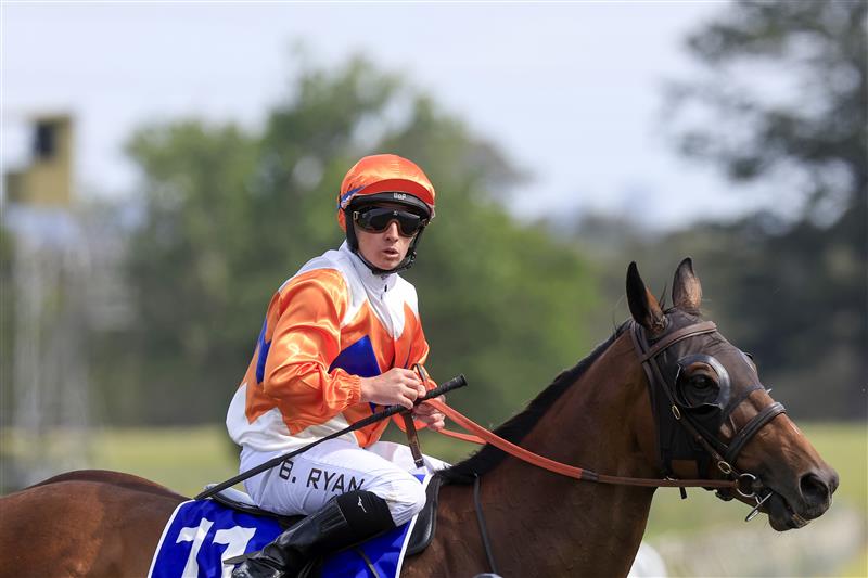 KEMBLA GRANGE, AUSTRALIA - NOVEMBER 19: Brock Ryan on Cuban Royale returns to scale after winning race 6 the Traffic Logistics CG&E Benchmark 78 Handicap during Sydney Racing at Kembla Grange Racecourse on November 19, 2022 in Kembla Grange, Australia. (Photo by Mark Evans/Getty Images)