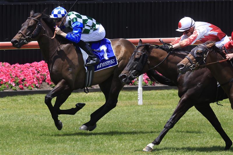 KEMBLA GRANGE, AUSTRALIA - NOVEMBER 19: Dylan Gibbons (checkered cap) on Astero wins race 2 the Count De Rupee Midway Benchmark 72 Handicap during Sydney Racing at Kembla Grange Racecourse on November 19, 2022 in Kembla Grange, Australia. (Photo by Mark Evans/Getty Images)