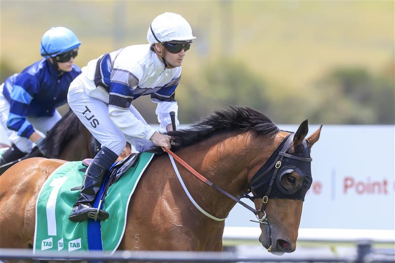 KEMBLA GRANGE, AUSTRALIA - NOVEMBER 19: Tyler Schiller on Tap 'N' Run wins race 1 the TAB Highway Handicap during Sydney Racing at Kembla Grange Racecourse on November 19, 2022 in Kembla Grange, Australia. (Photo by Mark Evans/Getty Images)
