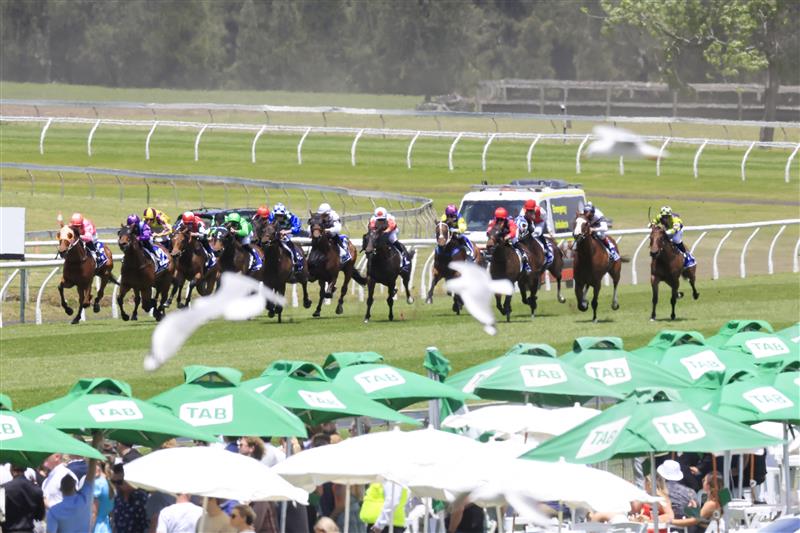 KEMBLA GRANGE, AUSTRALIA - NOVEMBER 19: Horses and jockey come down the home straight for race 2 the Count De Rupee Midway Benchmark 72 Handicap during Sydney Racing at Kembla Grange Racecourse on November 19, 2022 in Kembla Grange, Australia. (Photo by Mark Evans/Getty Images)