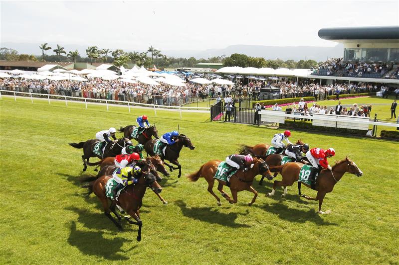 KEMBLA GRANGE, AUSTRALIA - NOVEMBER 19: Tyler Schiller on Starboreta wins race 5 the PFD Food Services F&M Benchmark 78 Handicap during Sydney Racing at Kembla Grange on November 19, 2022 in Kembla Grange, Australia. (Photo by Mark Evans/Getty Images)