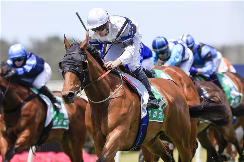 KEMBLA GRANGE, AUSTRALIA - NOVEMBER 19: Tyler Schiller on Tap 'N' Run wins race 1 the TAB Highway Handicap during Sydney Racing at Kembla Grange Racecourse on November 19, 2022 in Kembla Grange, Australia. (Photo by Mark Evans/Getty Images)