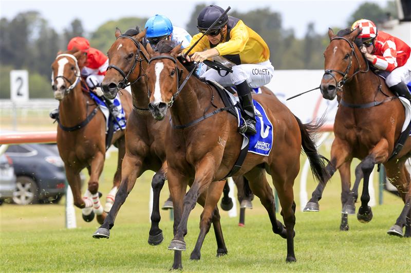 KEMBLA GRANGE, AUSTRALIA - NOVEMBER 19: Jason Collett on Quick Tempo wins race 4 the Eleven Eleven Benchmark 78 Handicap during Sydney Racing at Kembla Grange Racecourse on November 19, 2022 in Kembla Grange, Australia. (Photo by Mark Evans/Getty Images)