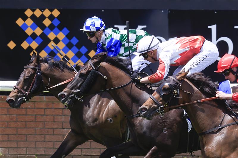 KEMBLA GRANGE, AUSTRALIA - NOVEMBER 19: Dylan Gibbons (checkered cap) on Astero wins race 2 the Count De Rupee Midway Benchmark 72 Handicap during Sydney Racing at Kembla Grange Racecourse on November 19, 2022 in Kembla Grange, Australia. (Photo by Mark Evans/Getty Images)