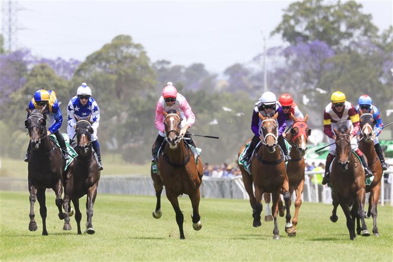KEMBLA GRANGE, AUSTRALIA - NOVEMBER 19: Josh Parr (blue and yellow checkered cap) on Shameonus wins race 3 the Elite Sand & Soil Bm78 Handicap during Sydney Racing at Kembla Grange Racecourse on November 19, 2022 in Kembla Grange, Australia. (Photo by Mark Evans/Getty Images)