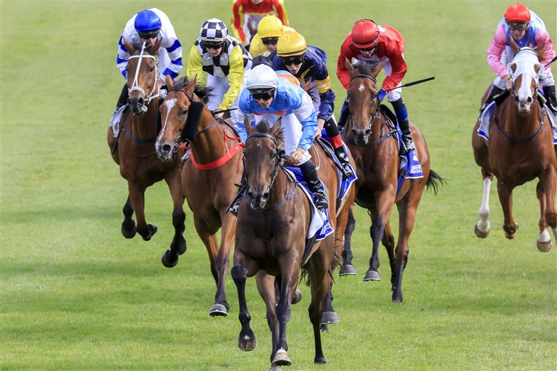 KEMBLA GRANGE, AUSTRALIA - NOVEMBER 19: Tim Clark (white cap) on Riodini wins race 8 The Gong during Sydney Racing at Kembla Grange Racecourse on November 19, 2022 in Kembla Grange, Australia. (Photo by Mark Evans/Getty Images)