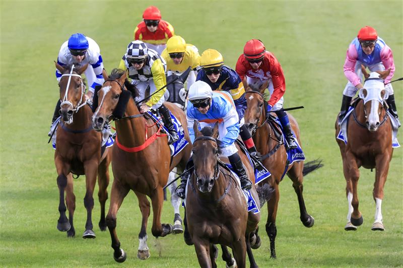 KEMBLA GRANGE, AUSTRALIA - NOVEMBER 19: Tim Clark (white cap) on Riodini wins race 8 The Gong during Sydney Racing at Kembla Grange Racecourse on November 19, 2022 in Kembla Grange, Australia. (Photo by Mark Evans/Getty Images)