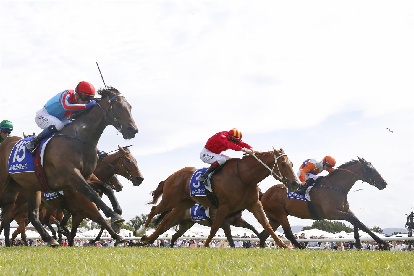 KEMBLA GRANGE, AUSTRALIA - NOVEMBER 19: Brock Ryan on Cuban Royale (R), wins race 6 the Traffic Logistics CG&E Benchmark 78 Handicap during Sydney Racing at Kembla Grange on November 19, 2022 in Kembla Grange, Australia. (Photo by Mark Evans/Getty Images)