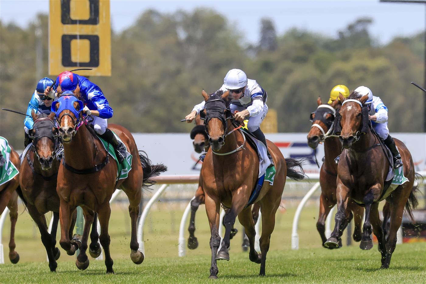 KEMBLA GRANGE, AUSTRALIA - NOVEMBER 19: Tyler Schiller on Tap 'N' Run wins race 1 the TAB Highway Handicap during Sydney Racing at Kembla Grange Racecourse on November 19, 2022 in Kembla Grange, Australia. (Photo by Mark Evans/Getty Images)