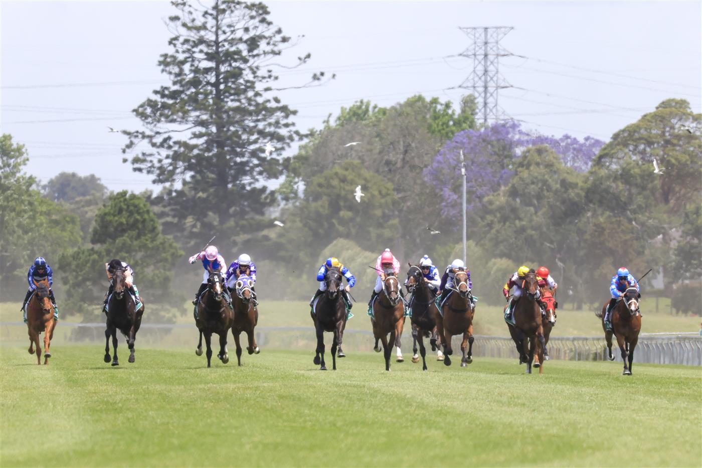 KEMBLA GRANGE, AUSTRALIA - NOVEMBER 19: Josh Parr (blue and yellow checkered cap) on Shameonus wins race 3 the Elite Sand & Soil Bm78 Handicap during Sydney Racing at Kembla Grange Racecourse on November 19, 2022 in Kembla Grange, Australia. (Photo by Mark Evans/Getty Images)