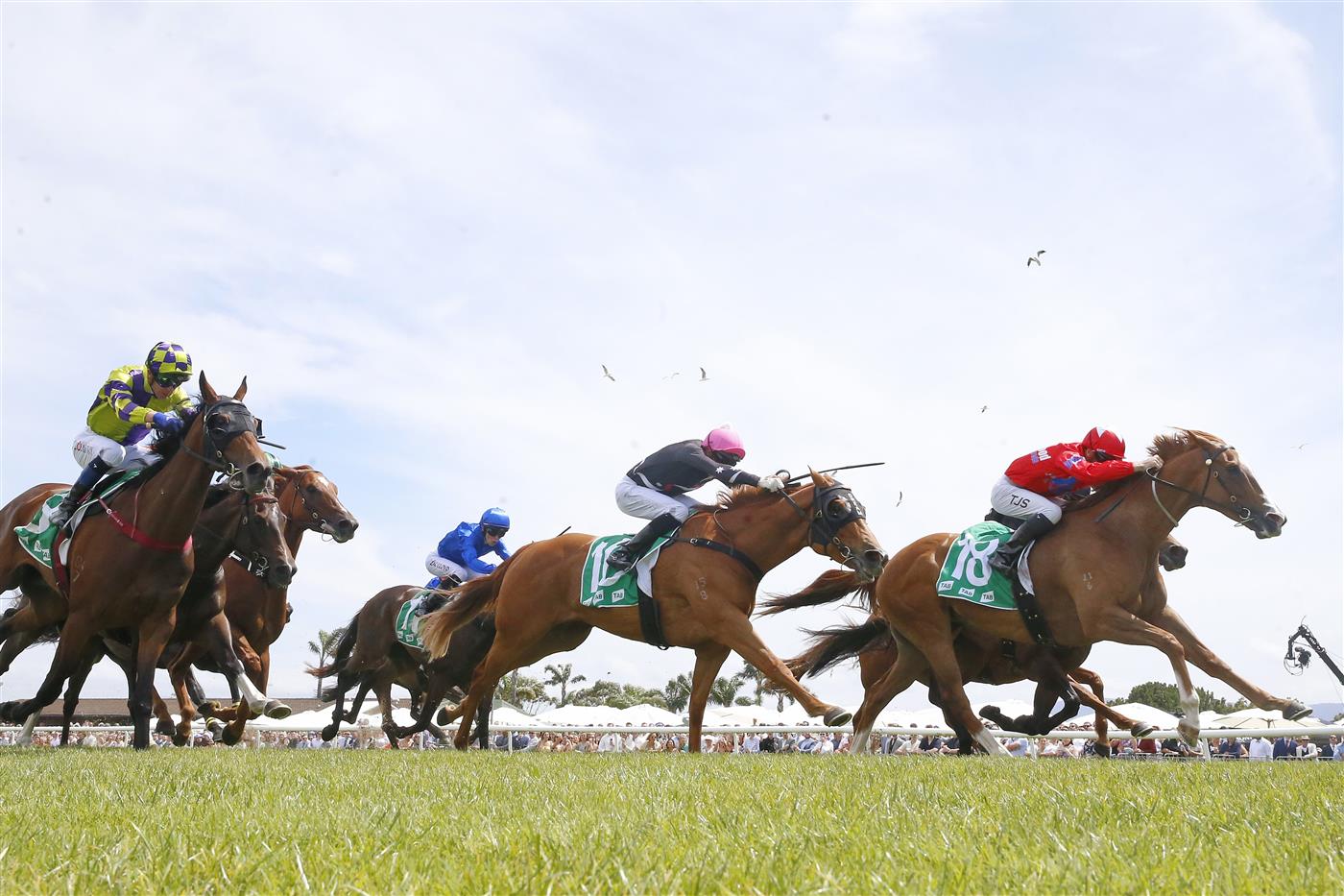 KEMBLA GRANGE, AUSTRALIA - NOVEMBER 19: Tyler Schiller on Starboreta wins race 5 the PFD Food Services F&M Benchmark 78 Handicap during Sydney Racing at Kembla Grange on November 19, 2022 in Kembla Grange, Australia. (Photo by Mark Evans/Getty Images)
