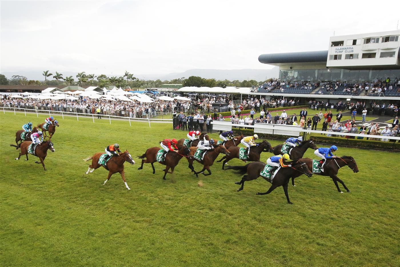 KEMBLA GRANGE, AUSTRALIA - NOVEMBER 19: Zac Lloyd on Athelric wins race 7 The Warra during Sydney Racing at Kembla Grange Racecourse on November 19, 2022 in Kembla Grange, Australia. (Photo by Mark Evans/Getty Images)