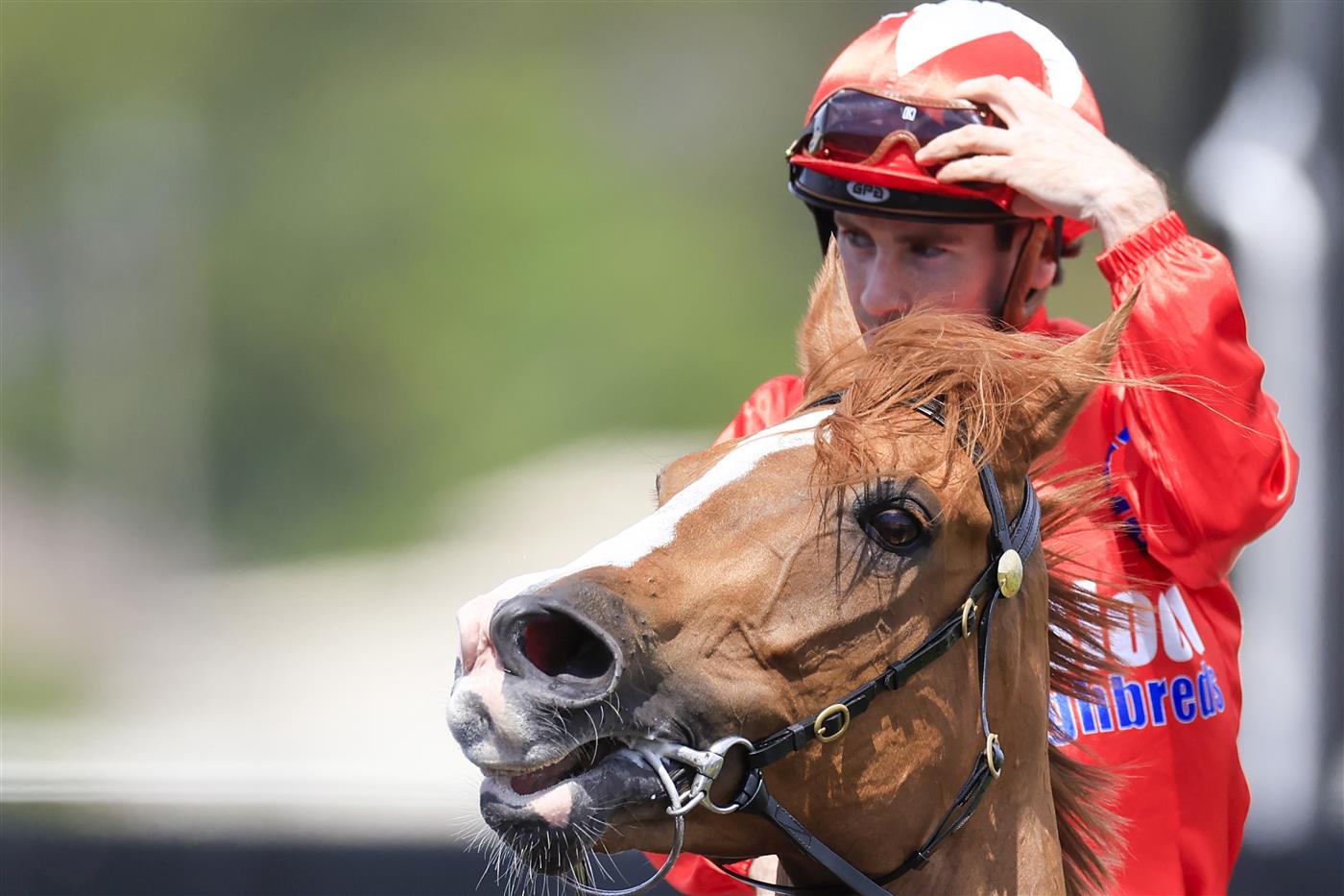KEMBLA GRANGE, AUSTRALIA - NOVEMBER 19: Tyler Schiller on Starboreta returns to scale after winning race 5 the PFD Food Services F&M Benchmark 78 Handicap during Sydney Racing at Kembla Grange Racecourse on November 19, 2022 in Kembla Grange, Australia. (Photo by Mark Evans/Getty Images)