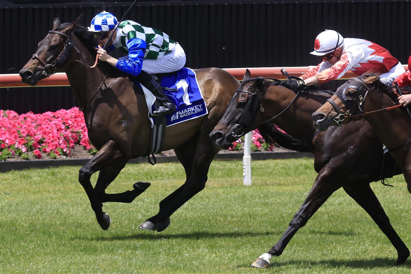 KEMBLA GRANGE, AUSTRALIA - NOVEMBER 19: Dylan Gibbons (checkered cap) on Astero wins race 2 the Count De Rupee Midway Benchmark 72 Handicap during Sydney Racing at Kembla Grange Racecourse on November 19, 2022 in Kembla Grange, Australia. (Photo by Mark Evans/Getty Images)