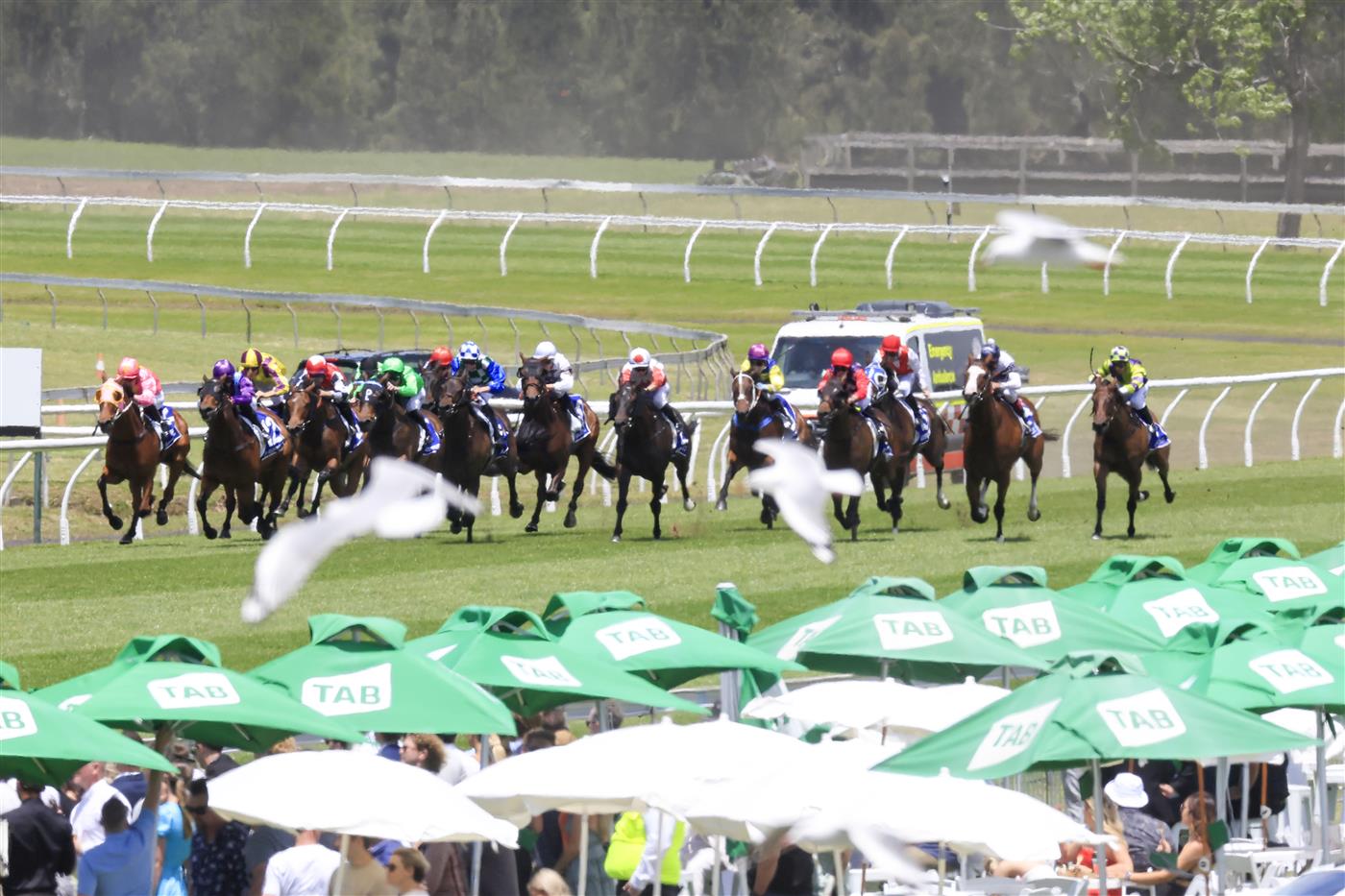 KEMBLA GRANGE, AUSTRALIA - NOVEMBER 19: Horses and jockey come down the home straight for race 2 the Count De Rupee Midway Benchmark 72 Handicap during Sydney Racing at Kembla Grange Racecourse on November 19, 2022 in Kembla Grange, Australia. (Photo by Mark Evans/Getty Images)