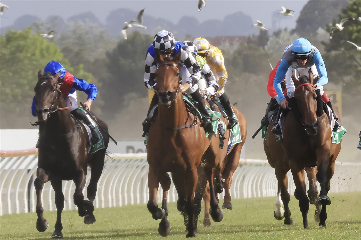 KEMBLA GRANGE, AUSTRALIA - NOVEMBER 19: Jason Collett on Nugget wins race 9 the Abax Contracting Benchmark 88 Handicap during Sydney Racing at Kembla Grange on November 19, 2022 in Kembla Grange, Australia. (Photo by Mark Evans/Getty Images)