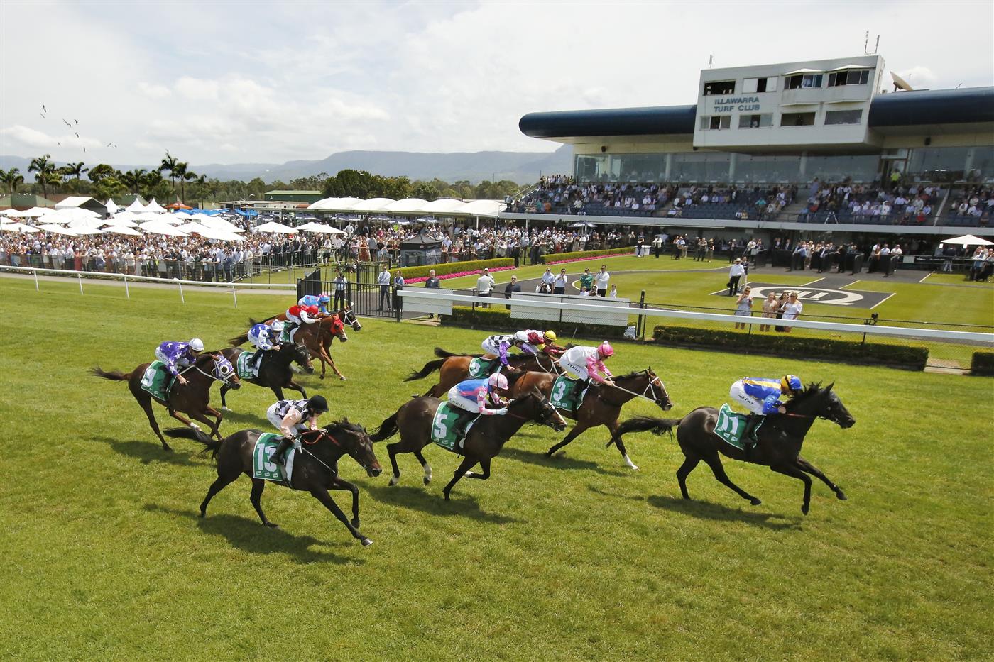 KEMBLA GRANGE, AUSTRALIA - NOVEMBER 19: Josh Parr (blue and yellow checkered cap) on Shameonus wins race 3 the Elite Sand & Soil Bm78 Handicap during Sydney Racing at Kembla Grange Racecourse on November 19, 2022 in Kembla Grange, Australia. (Photo by Mark Evans/Getty Images)