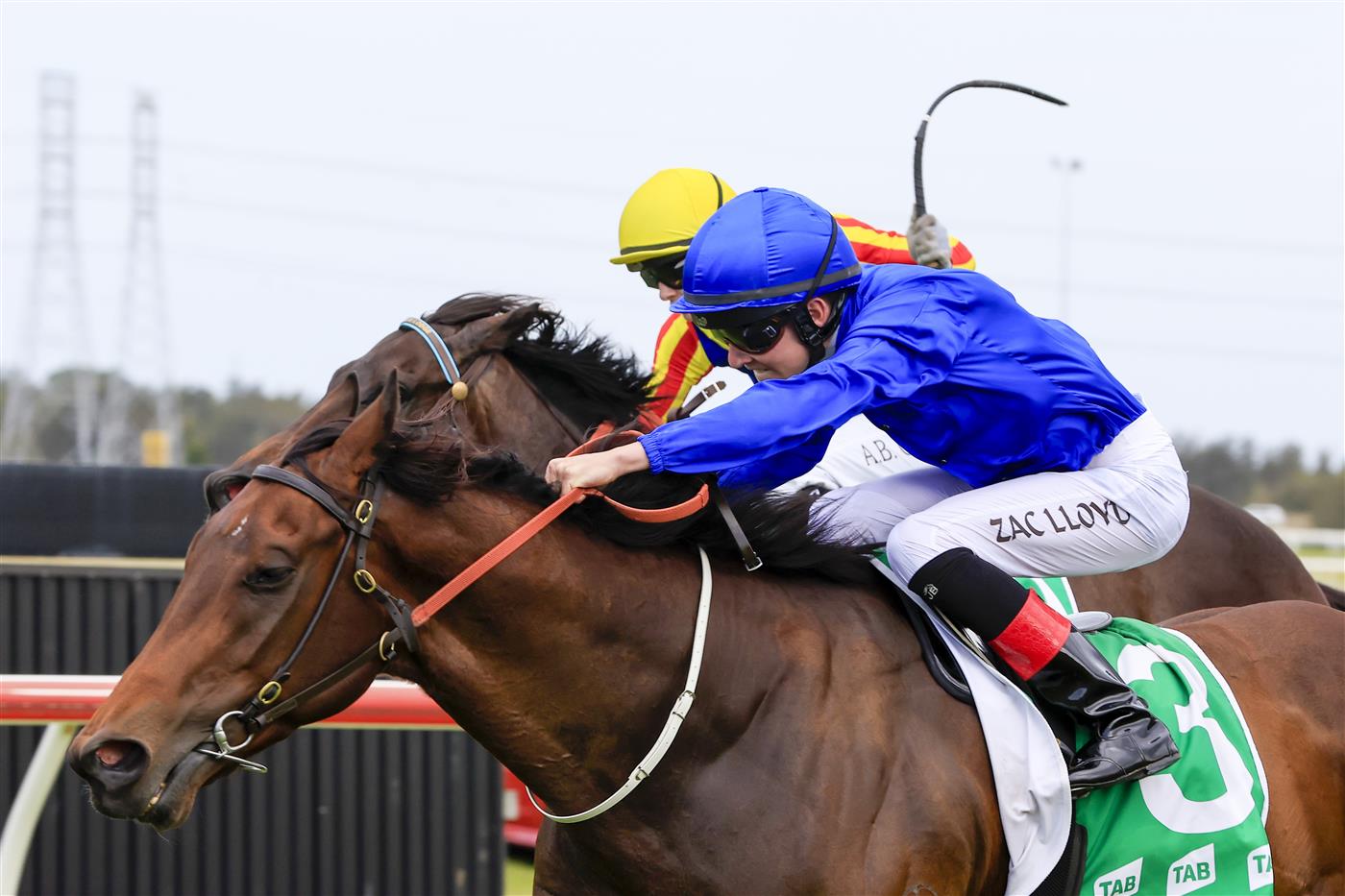 KEMBLA GRANGE, AUSTRALIA - NOVEMBER 19: Zac Lloyd on Athelric wins race 7 The Warra during Sydney Racing at Kembla Grange Racecourse on November 19, 2022 in Kembla Grange, Australia. (Photo by Mark Evans/Getty Images)