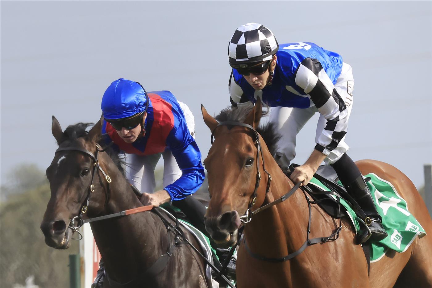 KEMBLA GRANGE, AUSTRALIA - NOVEMBER 19: Jason Collett on Nugget wins race 9 the Abax Contracting Benchmark 88 Handicap during Sydney Racing at Kembla Grange on November 19, 2022 in Kembla Grange, Australia. (Photo by Mark Evans/Getty Images)