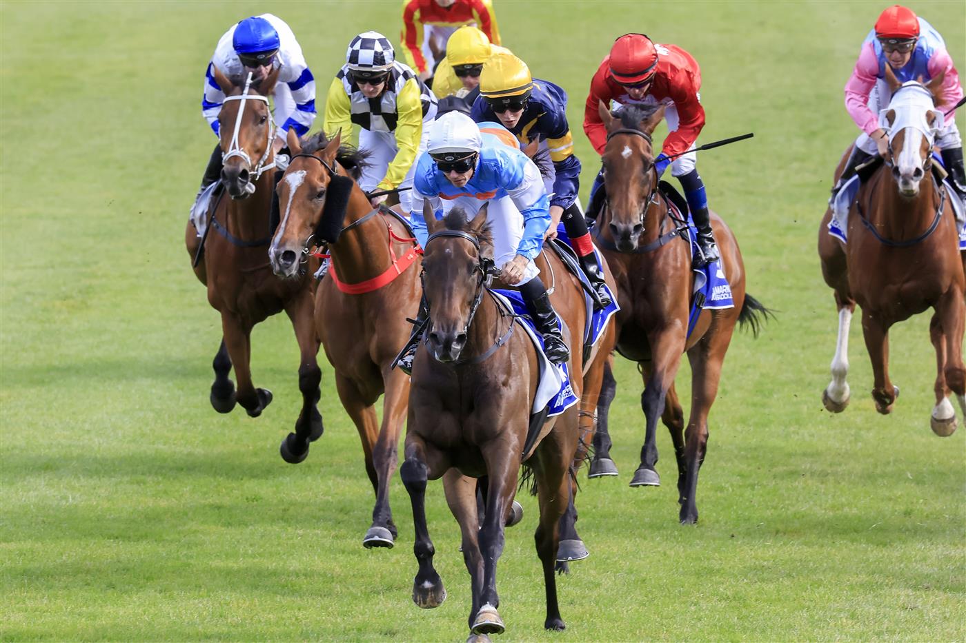 KEMBLA GRANGE, AUSTRALIA - NOVEMBER 19: Tim Clark (white cap) on Riodini wins race 8 The Gong during Sydney Racing at Kembla Grange Racecourse on November 19, 2022 in Kembla Grange, Australia. (Photo by Mark Evans/Getty Images)