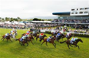 Kembla Grange Highlights