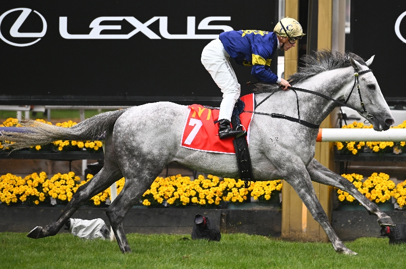 Caulfield Cup Stakes Tips, Betting Previews