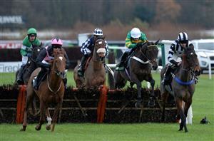 2022 Fighting Fifth Hurdle Odds - Constitution Hill now favourite to beat Epatante
