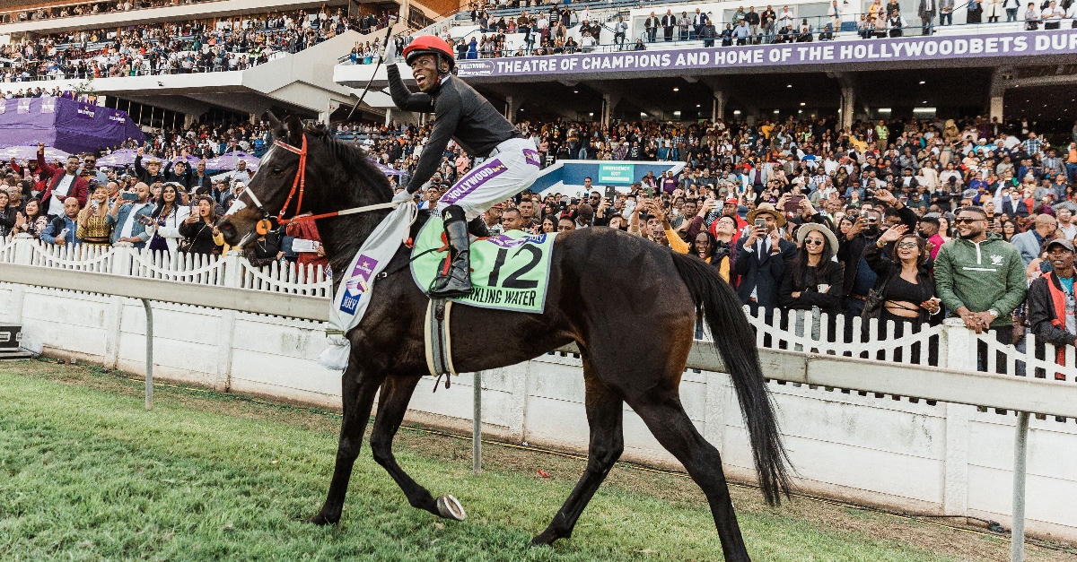 2022 Betway Summer Cup Odds, Entries and Runners