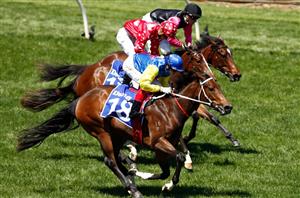 Sandown Guineas Barriers