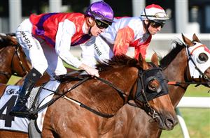 Sandown Guineas Tips