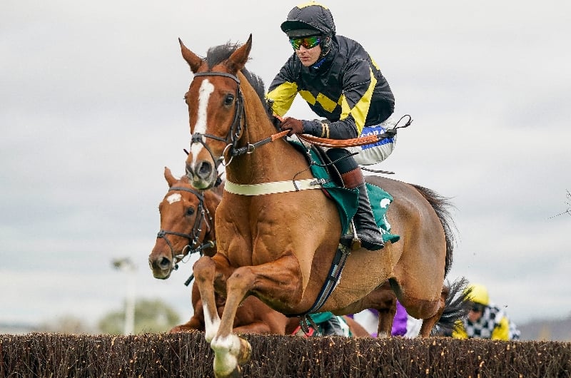 ITV Racing Tips on November 26th - Saturday's selections at Newbury and Newcastle