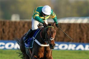 NEWBURY, ENGLAND - NOVEMBER 25: Jonjo O