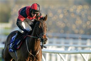 NEWBURY, ENGLAND - NOVEMBER 25: Connor Brace riding Paint The Dream clear the last to comfortably win The Coral Bet Bundles Handicap Chase at Newbury Racecourse on November 25, 2022 in Newbury, England. (Photo by Alan Crowhurst/Getty Images)