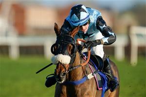 NEWBURY, ENGLAND - NOVEMBER 25: Stan Sheppard riding Sebastopol clear the last to win The Coral Racing Club Novices