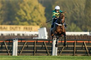 NEWBURY, ENGLAND - NOVEMBER 25: Jonjo O