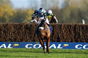 NEWBURY, ENGLAND - NOVEMBER 25: Stan Sheppard riding Sebastopol clear the last to win The Coral Racing Club Novices