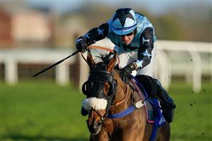 NEWBURY, ENGLAND - NOVEMBER 25: Stan Sheppard riding Sebastopol clear the last to win The Coral Racing Club Novices