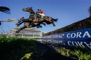 NEWBURY, ENGLAND - NOVEMBER 25: A general view as runners clear the water jump during The Coral Racing Club Novices