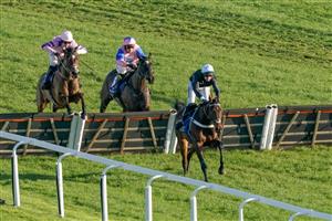 NEWBURY, ENGLAND - NOVEMBER 25: Harry Cobden riding Stay Away Fay (L) clear the last to win The Coral Get Closer To The Action Novices