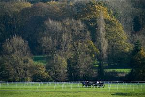 NEWBURY, ENGLAND - NOVEMBER 25: A general view as runners wait at the start for The Coral Get Closer To The Action Novices