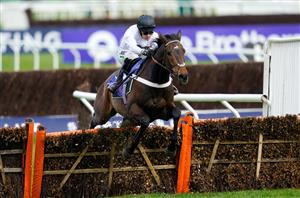 2022 Fighting Fifth Hurdle Tips - Could this outsider follow Constitution Hill home?