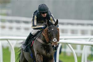 NEWBURY, ENGLAND - NOVEMBER 26: Harry Cobden riding McFabulous clear the last to win The Coral John Francome Novices